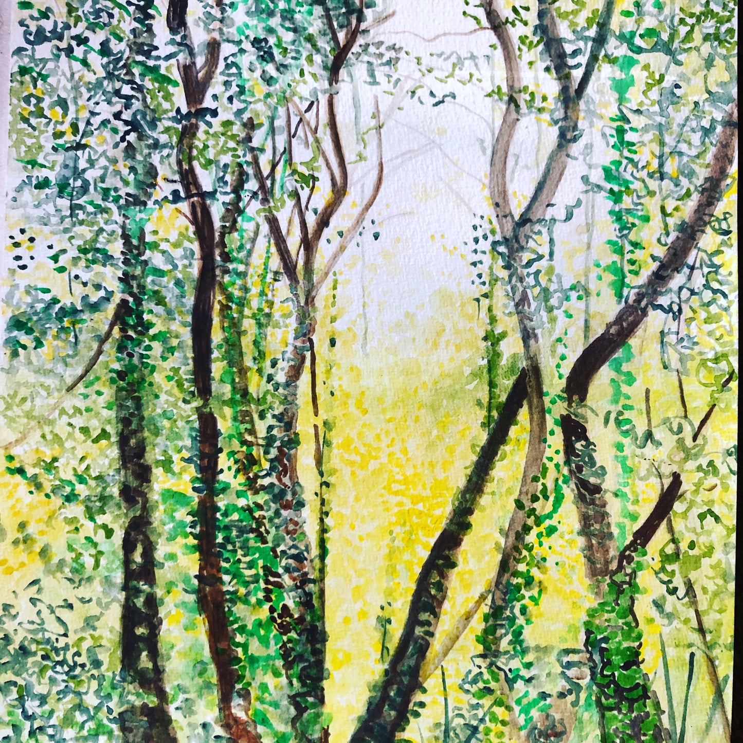 Chlorophylle